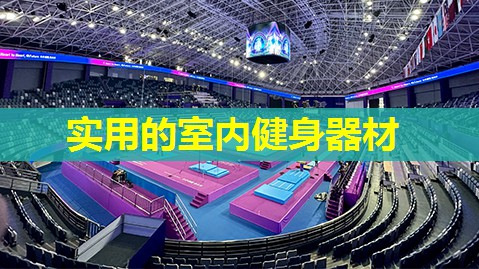 实用的室内健身器材
