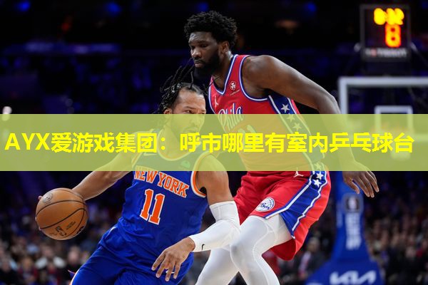 AYX爱游戏集团：呼市哪里有室内乒乓球台