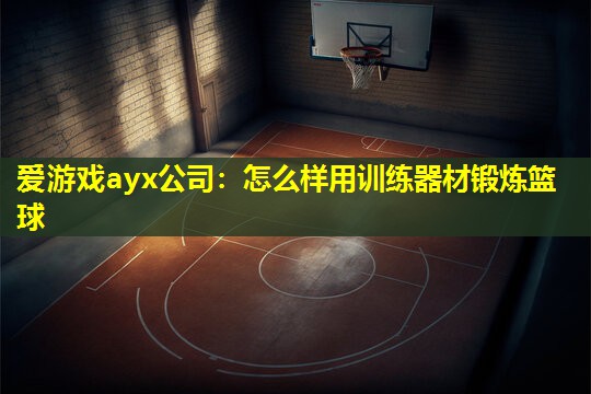 爱游戏ayx公司：怎么样用训练器材锻炼篮球