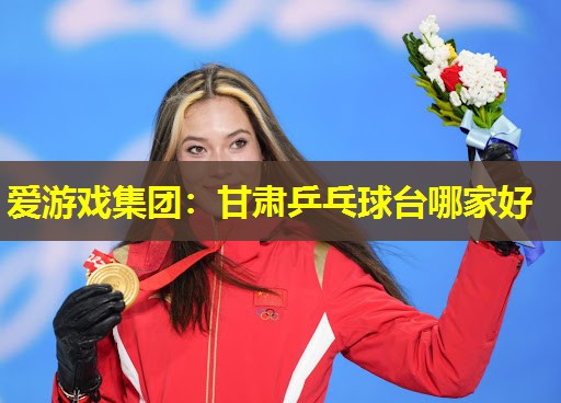 爱游戏集团：甘肃乒乓球台哪家好
