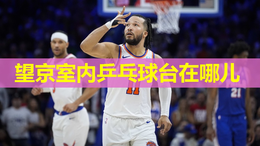 望京室内乒乓球台在哪儿