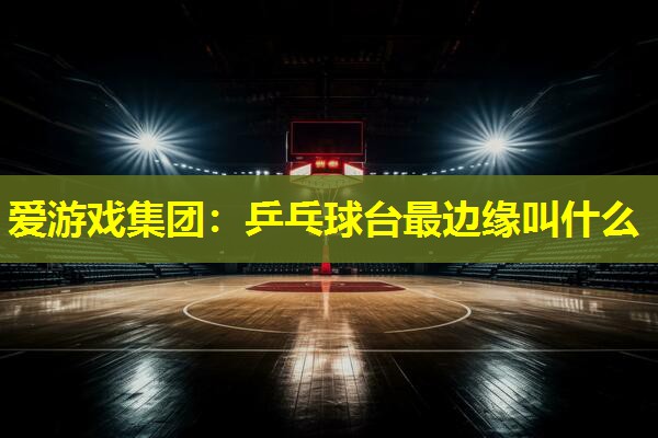 爱游戏集团：乒乓球台最边缘叫什么