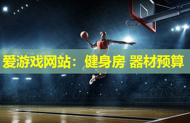 爱游戏网站：健身房 器材预算
