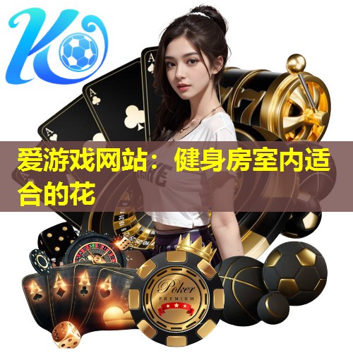 健身房室内适合的花 健身房室内适合的花