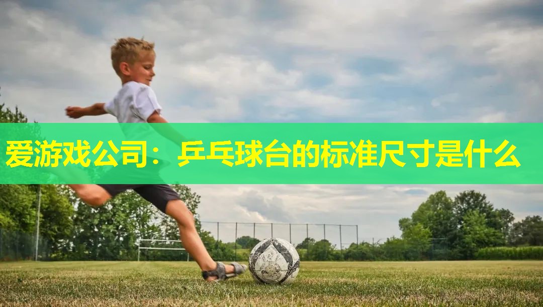 乒乓球台的标准尺寸是什么 乒乓球台的标准尺寸是什么