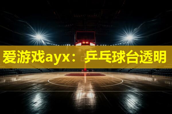 乒乓球台透明 乒乓球台透明