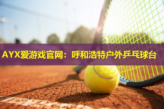 呼和浩特户外乒乓球台 呼和浩特户外乒乓球台