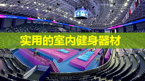 实用的室内健身器材 实用的室内健身器材