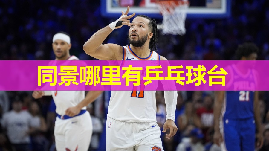 同景哪里有乒乓球台 同景哪里有乒乓球台