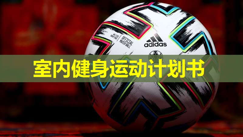 室内健身运动计划书