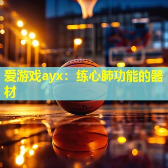 练心肺功能的器材 练心肺功能的器材