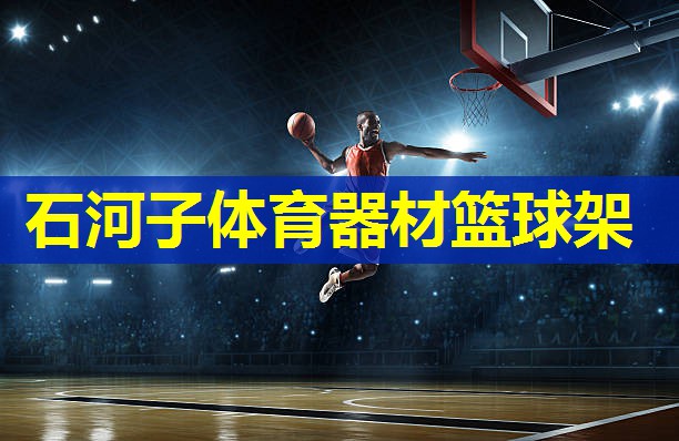 石河子体育器材篮球架