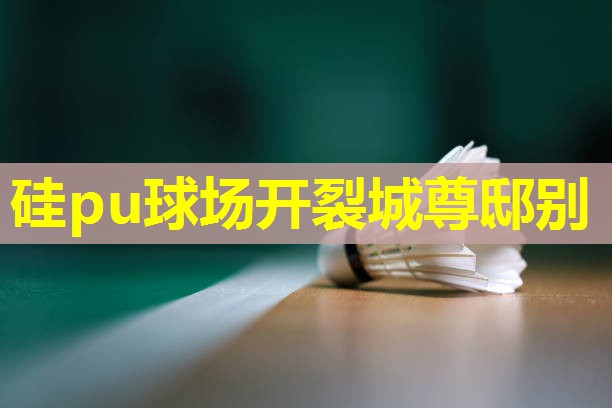 硅pu球场开裂城尊邸别