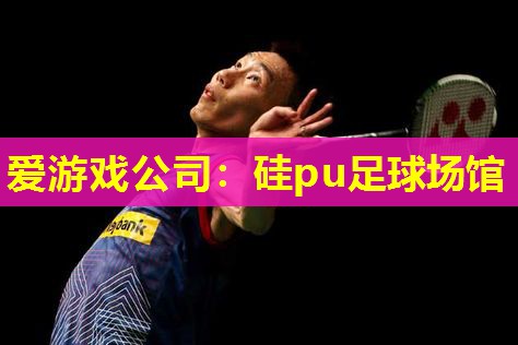 硅pu足球场馆