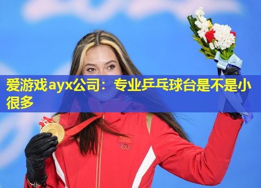 专业乒乓球台是不是小很多