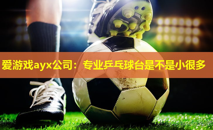专业乒乓球台是不是小很多