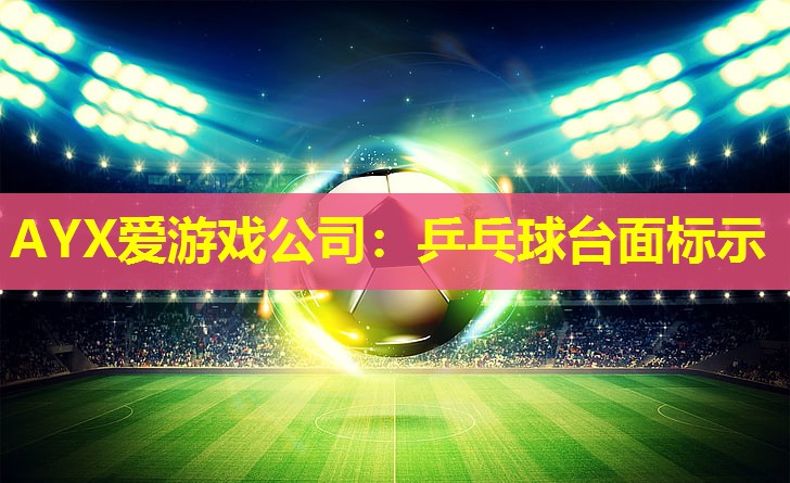 乒乓球台面标示 乒乓球台面标示