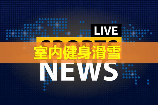 室内健身滑雪 室内健身滑雪