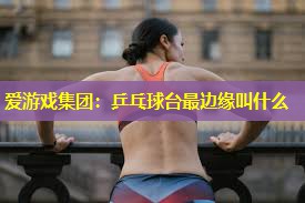 乒乓球台最边缘叫什么 乒乓球台最边缘叫什么