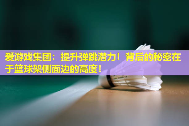 提升弹跳潜力！背后的秘密在于篮球架侧面边的高度！
