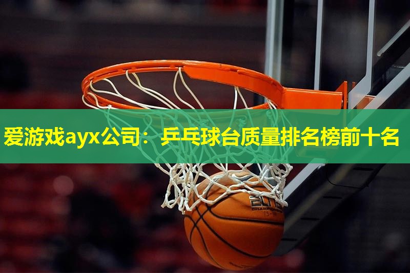 乒乓球台质量排名榜前十名
