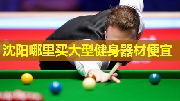 沈阳哪里买大型健身器材便宜