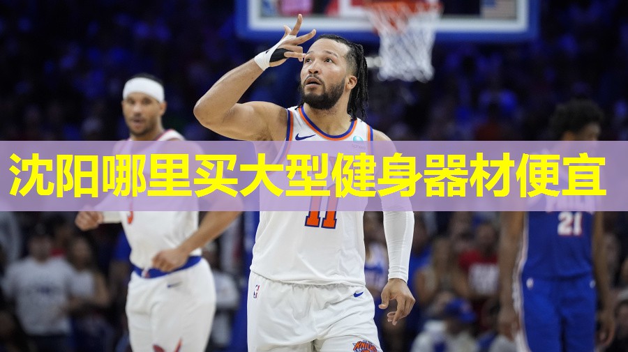 沈阳哪里买大型健身器材便宜