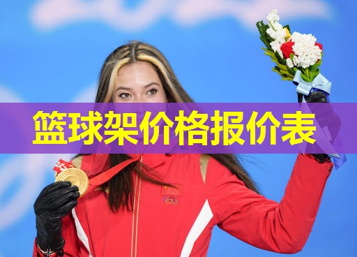 篮球架价格报价表 篮球架价格报价表