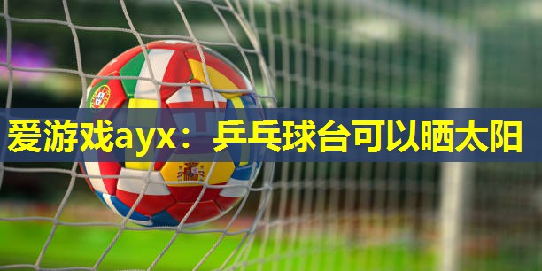 乒乓球台可以晒太阳